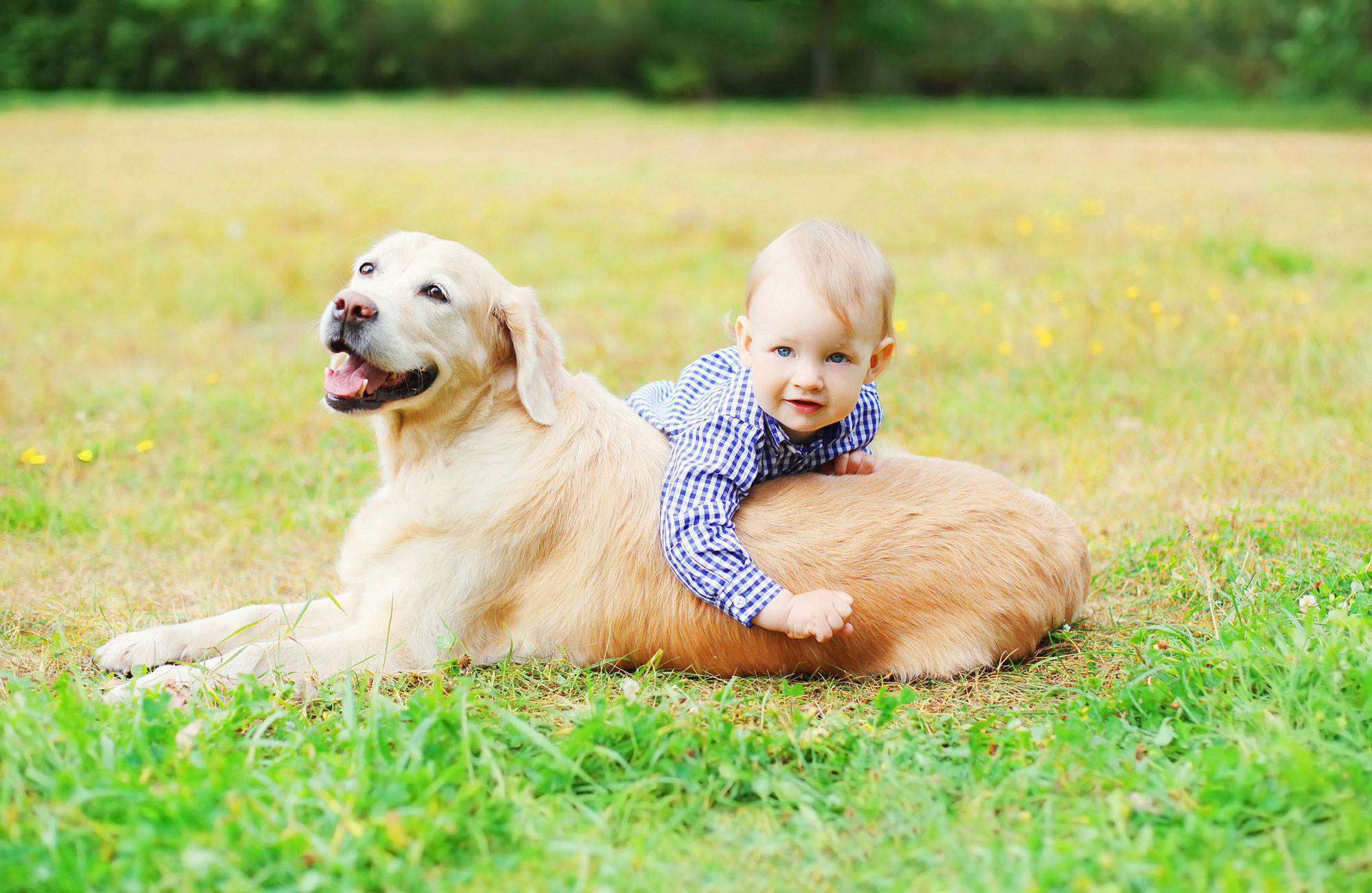 young boy and dog playing outside in the grass 